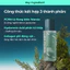 ISNTREE Tinh Chất PDRN Rong Biển Hydro 50ml