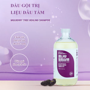 Dầu gội chữa bệnh cây dâu tằm
