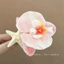 Kẹp tóc hình hoa lan và sao biển! Kẹp tóc bên hông thanh lịch cho kỳ nghỉ biển, hoàn hảo cho phụ nữ đi du lịch