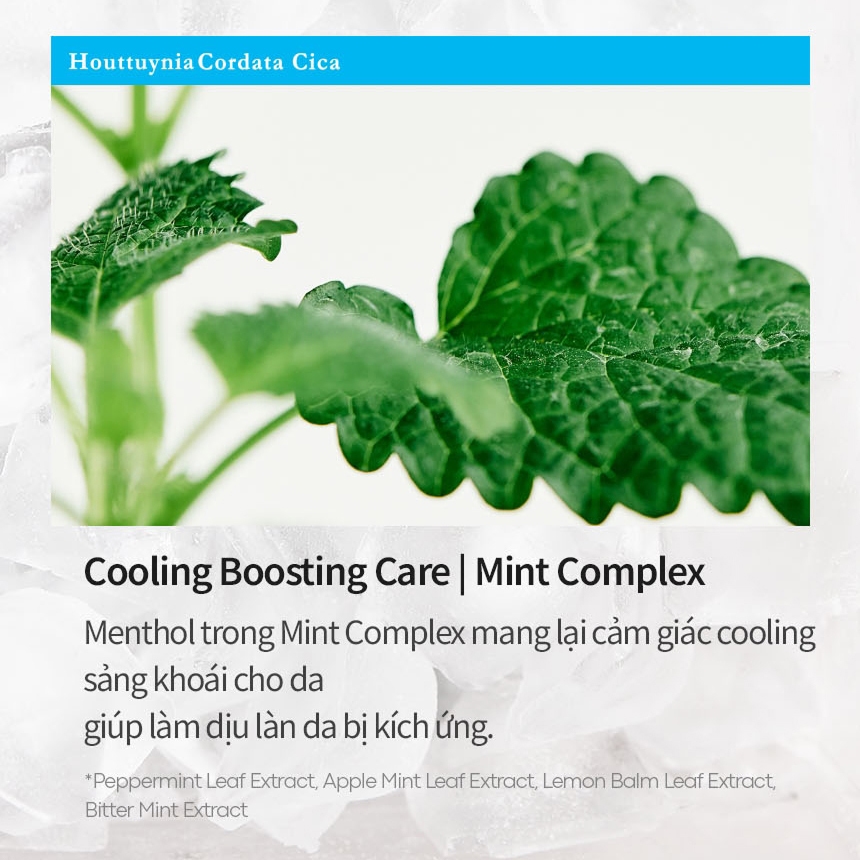 TONYMOLY Kem dưỡng ẩm làm mát Houttuynia Cordata Cica Cooling Watery Cream 100ml Soothing Hydrating dịu nhẹ an toàn cho da nhạy cảm