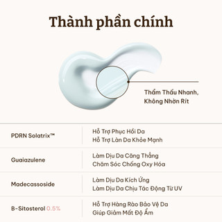 [Dr.Reju-All Official] PD4 Serum Chống Nắng PDRN Dịu Da 50ml | Da nhạy cảm, Bảo vệ sâu, Hàng rào da An toàn cho rạn san hô, Dùng được cho cả gia đình, Da liễu Madecassoside, Beta-Sitosterol, Guaiazulene