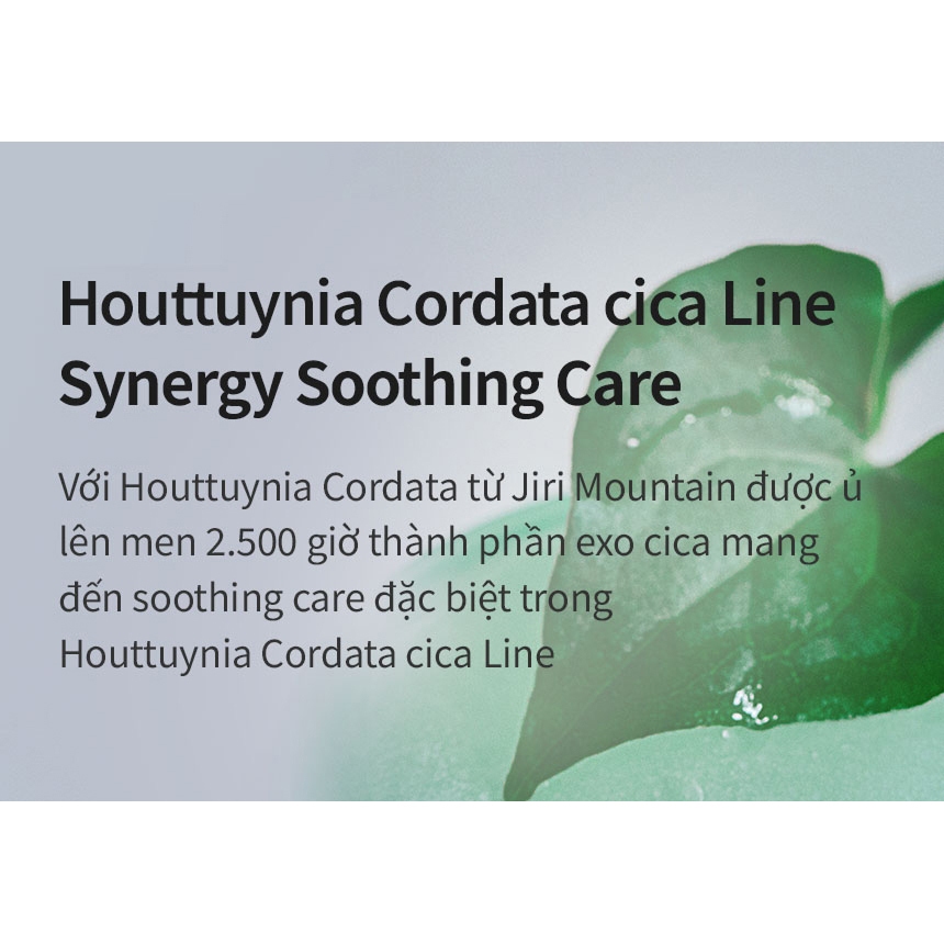 TONYMOLY Kem dưỡng ẩm làm mát Houttuynia Cordata Cica Cooling Watery Cream 100ml Soothing Hydrating dịu nhẹ an toàn cho da nhạy cảm