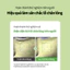Tinh Chất Cà Chua Xanh Green Tomato Pore Lifting Ampoule 30ml 1+1 SET