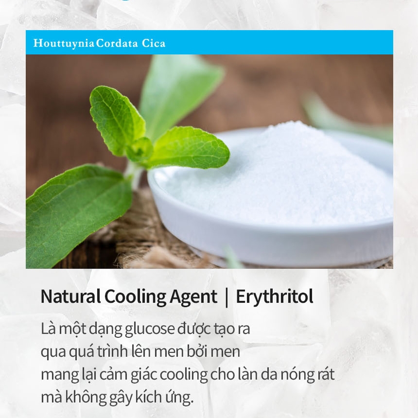 TONYMOLY Kem dưỡng ẩm làm mát Houttuynia Cordata Cica Cooling Watery Cream 100ml Soothing Hydrating dịu nhẹ an toàn cho da nhạy cảm