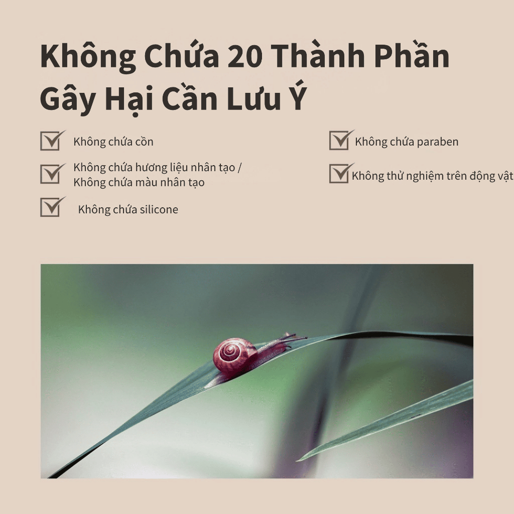 [Benton Official] Sữa Dưỡng Snail Bee High Content – Cân bằng độ ẩm, làm dịu, hỗ trợ phục hồi da, phù hợp da dễ nổi mụn