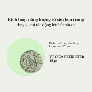 REEDLE SHOT 100 / 300 / 700 khởi động da, cải tiến hấp thụ da / QUÀ TẶNG < Flagship chính thức >