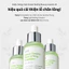 Tinh Chất Cà Chua Xanh Green Tomato Pore Lifting Ampoule 30ml 1+1 SET