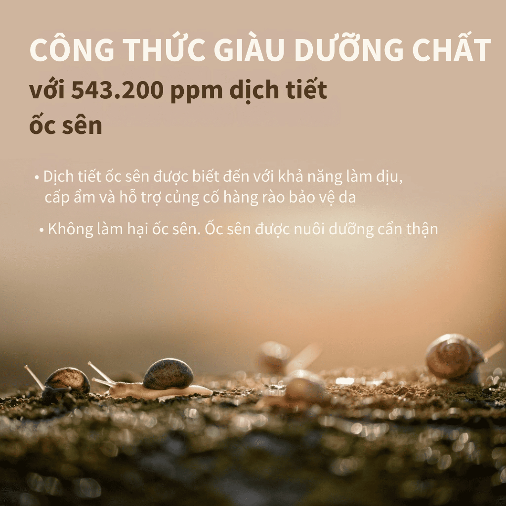 [Benton Official] Sữa Dưỡng Snail Bee High Content – Cân bằng độ ẩm, làm dịu, hỗ trợ phục hồi da, phù hợp da dễ nổi mụn