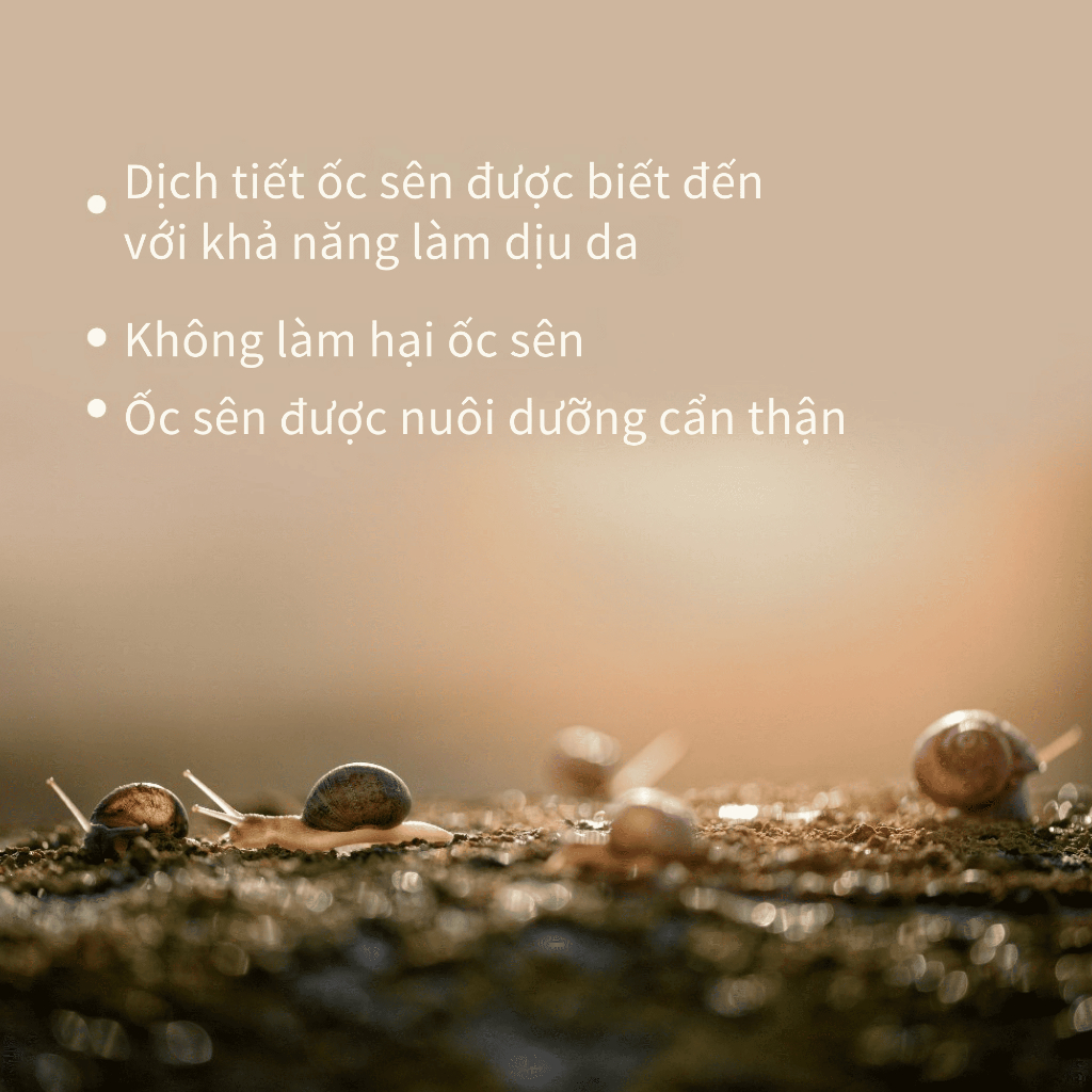 [Benton Official] Mặt Nạ Giấy Snail Bee High Content – Làm dịu da, hỗ trợ chăm sóc da dễ nổi mụn, làm sáng da, phục hồi hàng rào bảo vệ da, cấp ẩm cho da nhạy cảm