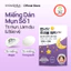 Miếng dán Hỗ trợ giảm mụn Magiê / Miếng dán rắc rối một đêm Plus (30 miếng dán) / Gói chăm sóc mụn trứng cá