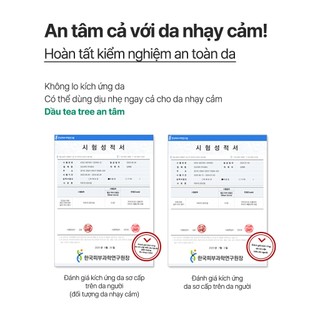 <Odorata / Neferra> Chăm Sóc Điểm + Chăm Sóc Mụn / Tinh Dầu Tràm Trà 10ml / 2ml
