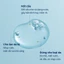DIVE IN Hyaluronic Acid Serum, 50ml
