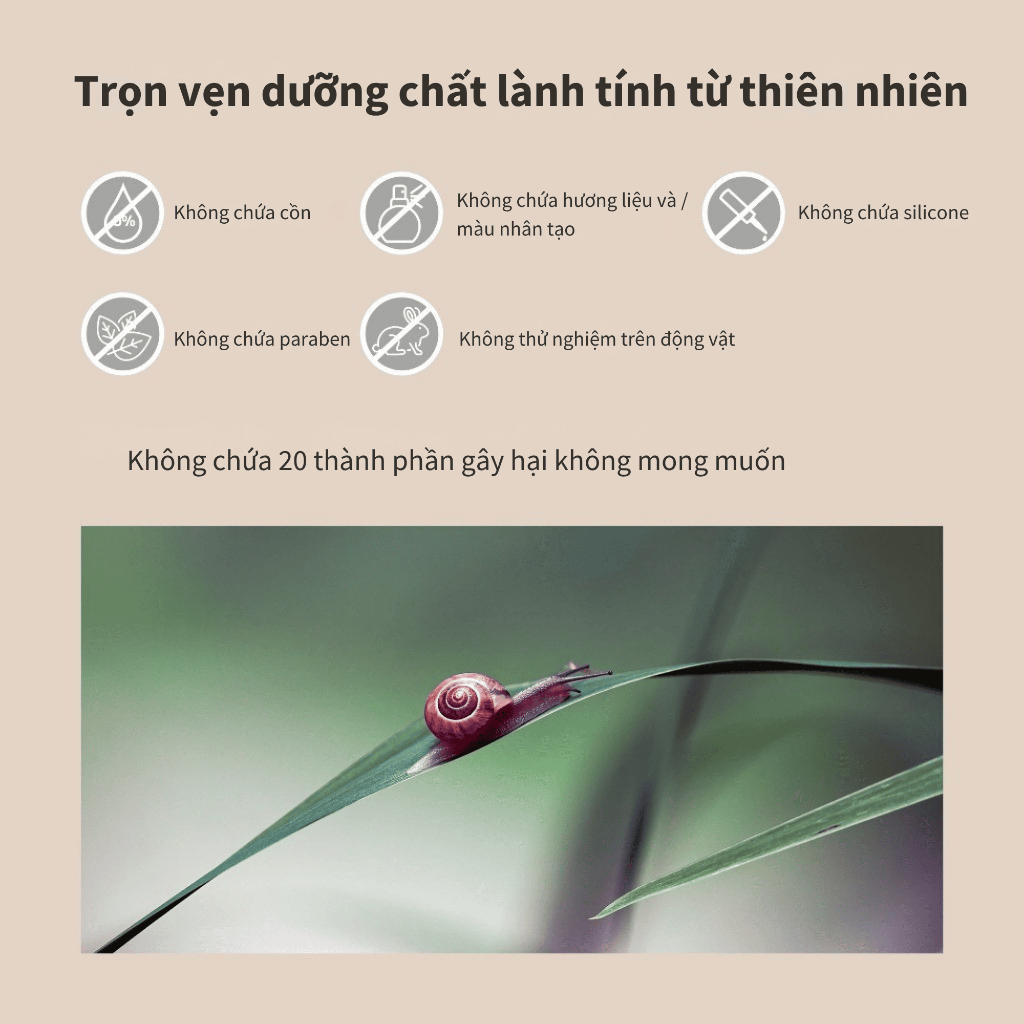 [Benton Official] Mặt Nạ Giấy Snail Bee High Content – Làm dịu da, hỗ trợ chăm sóc da dễ nổi mụn, làm sáng da, phục hồi hàng rào bảo vệ da, cấp ẩm cho da nhạy cảm