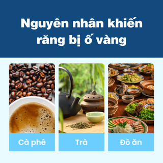 Viên đánh trắng răng Dentinel (50 viên) - Kem đánh răng dạng viên bỏ túi, Giảm ố vàng, Bảo vệ nướu, Ngừa sâu răng