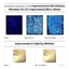 PDRN Reedle shot 100 Mặt nạ Hydrogel 2 bước PDRN dựa trên thực vật Sửa chữa da phát sáng tự nhiên [Flagship chính thức]