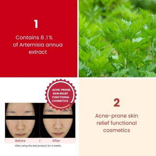 Pad Toner Artemisia Low pH Ngừa Mụn Làm Dịu Da Tẩy Tế Bào Chết (75 Miếng) Hàn Quốc ENCA