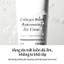 Collagen Bomb Rejuvenating Eye cream 90ml, Kem dưỡng mắt Hàn Quốc Chống Nhăn & Làm Sáng Da, Chăm Sóc Quầng Thâm, 5 Loại Collagen 5916ppm, Peptide, Kem Làm Săn Chắc Vùng Da Dưới Mắt