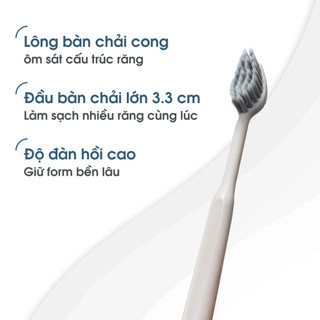 set 10 Bàn chải đánh răng cong Dentinel Graphene