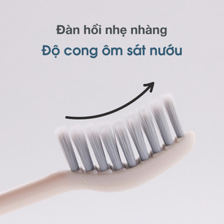 set 10 Bàn chải đánh răng cong Dentinel Graphene