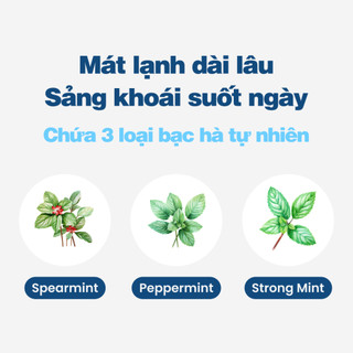 Viên đánh trắng răng Dentinel (50 viên) - Kem đánh răng dạng viên bỏ túi, Giảm ố vàng, Bảo vệ nướu, Ngừa sâu răng