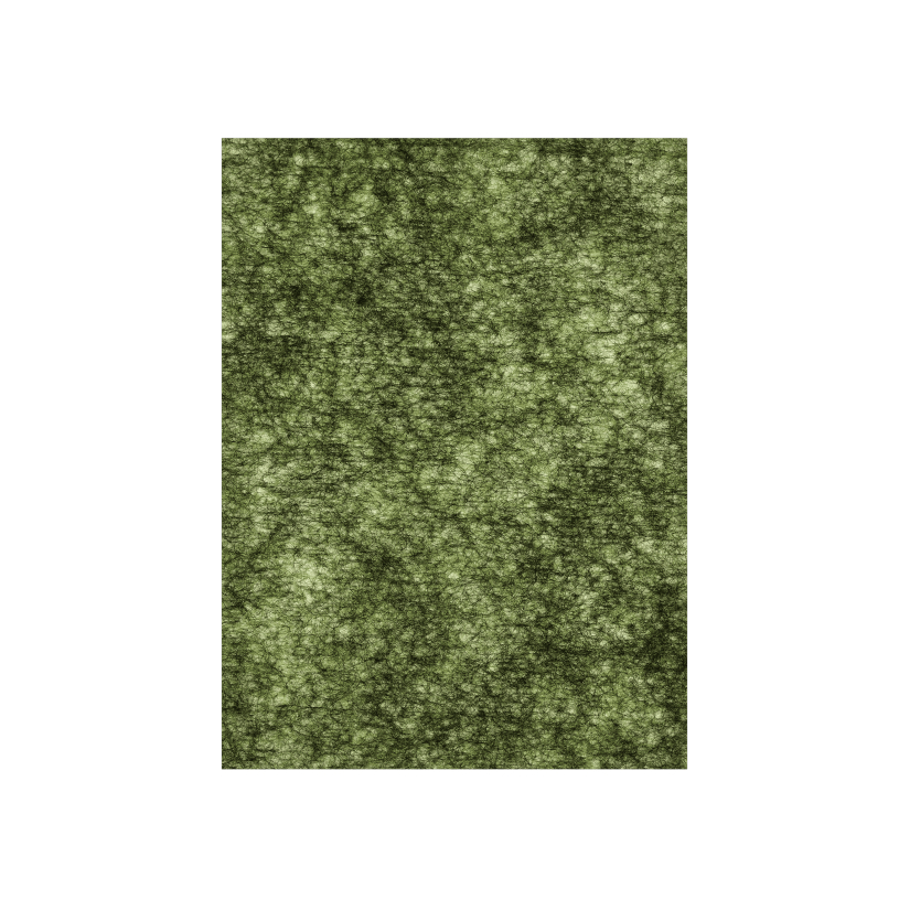 ISNTREE KHÔNG BÁN Istree Gim PDRN Boosting Glow Pad 2ea