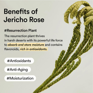 [Abib] Kem Dưỡng Mắt Collagen Rose Jericho Tăng Độ Đàn Hồi 30mL