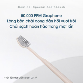 set 10 Bàn chải đánh răng cong Dentinel Graphene