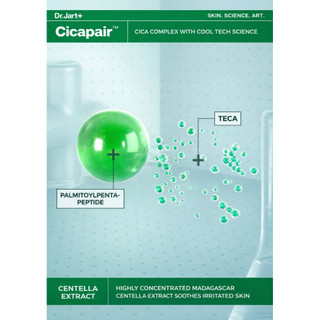 [Dr.Jart+] Cicapair Intensive Soothing Repair Cream Set (50ml+15ml) Kem rau má phục hồi làm dịu da