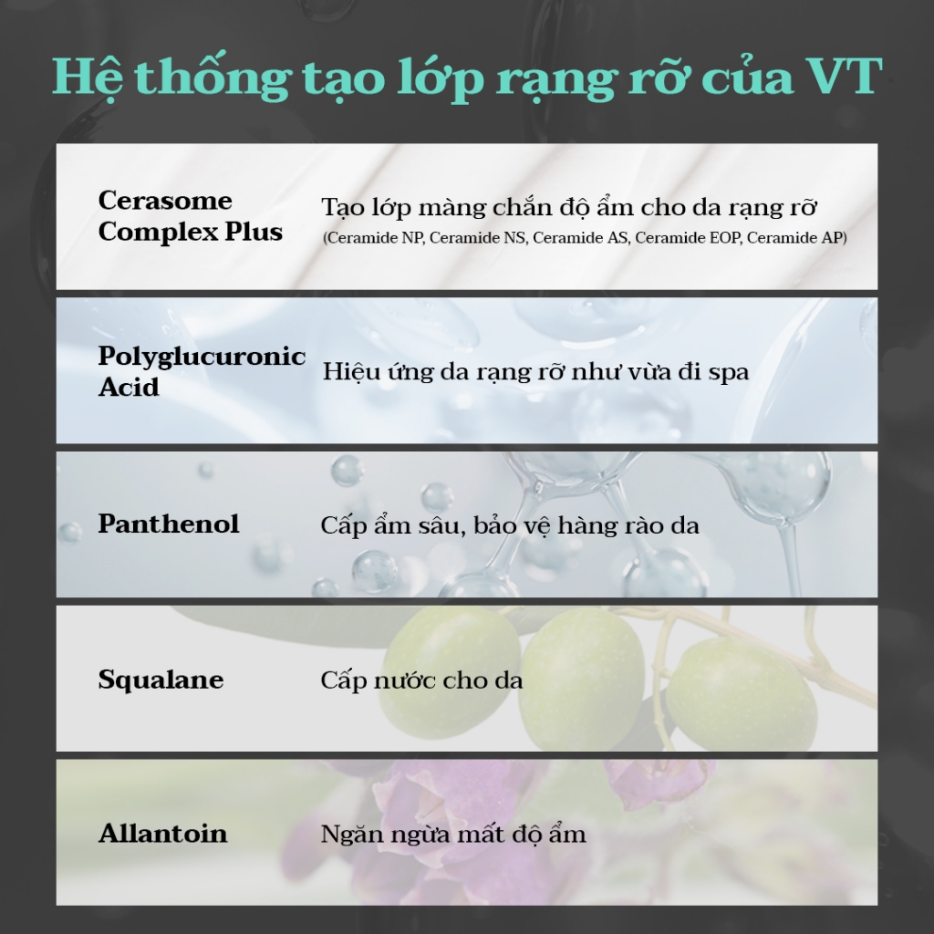 [VT] Bộ đặc biệt Tinh chất PDRN thuần chay gốc thực vật [Flagship chính thức]