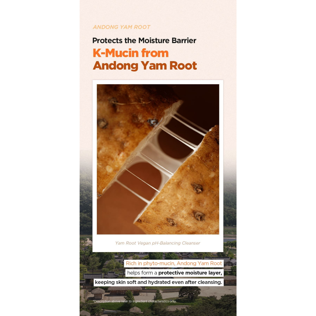 ISNTREE [MỚI] Sữa rửa mặt cân bằng pH Istree Yam Root 120ml | Sữa rửa mặt chăm sóc rào cản da có axit nhẹ và dưỡng ẩm