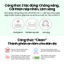 Kem Chống Nắng Nâng Tông Xanh Lá Urban Shade Green Tone-Up Sun SPF50+ PA++++