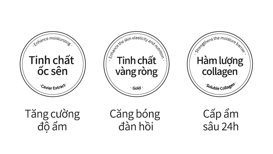 Mô tả Set Ampoule Bergamo Chứa Collagen Và Lá Vàng Sang Trọng Chăm Sóc Nếp Nhăn Trên Da Và Làm Sáng Da 13mlx4 - 2