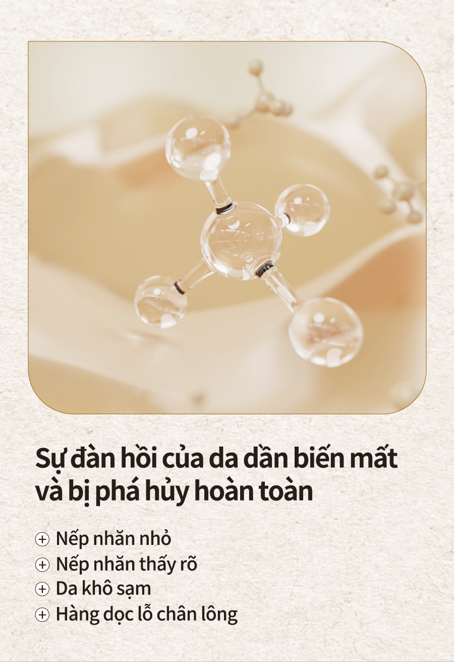 Mô tả Set Ampoule Bergamo Chứa Collagen Và Lá Vàng Sang Trọng Chăm Sóc Nếp Nhăn Trên Da Và Làm Sáng Da 13mlx4 - 5
