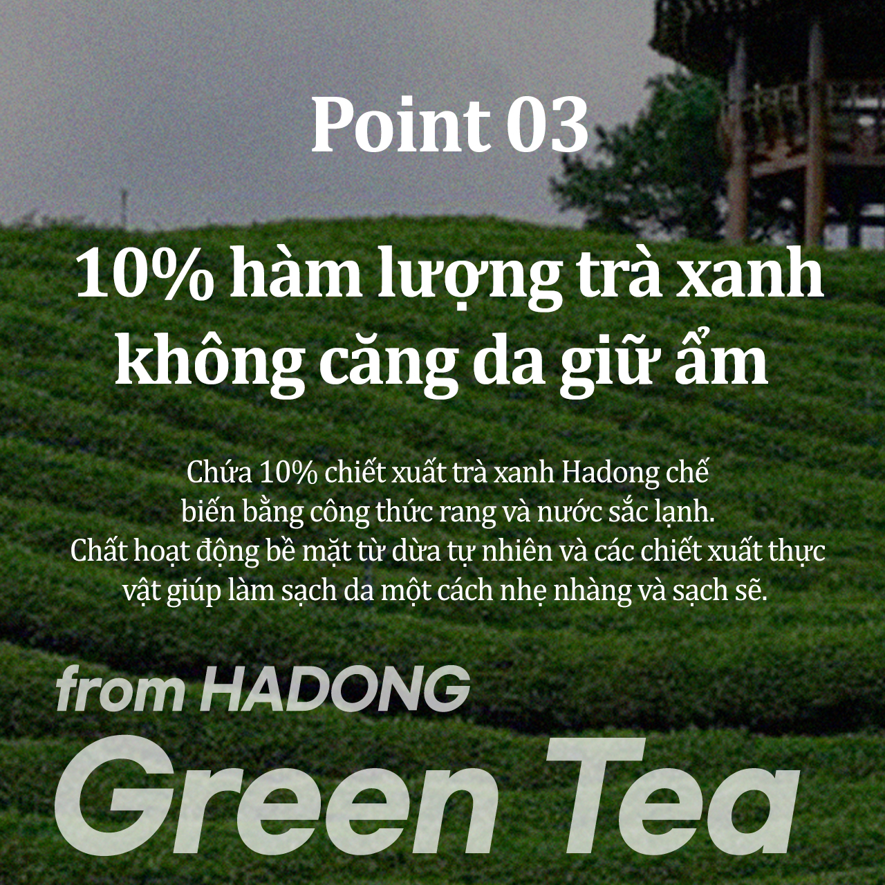 Mô tả Moon Cat Real Green Tea Pore Deep Cleanser 100ml + Moon Cat Rich Moist Green Tea Sleeping Mask 75ml Pore careSET - 3