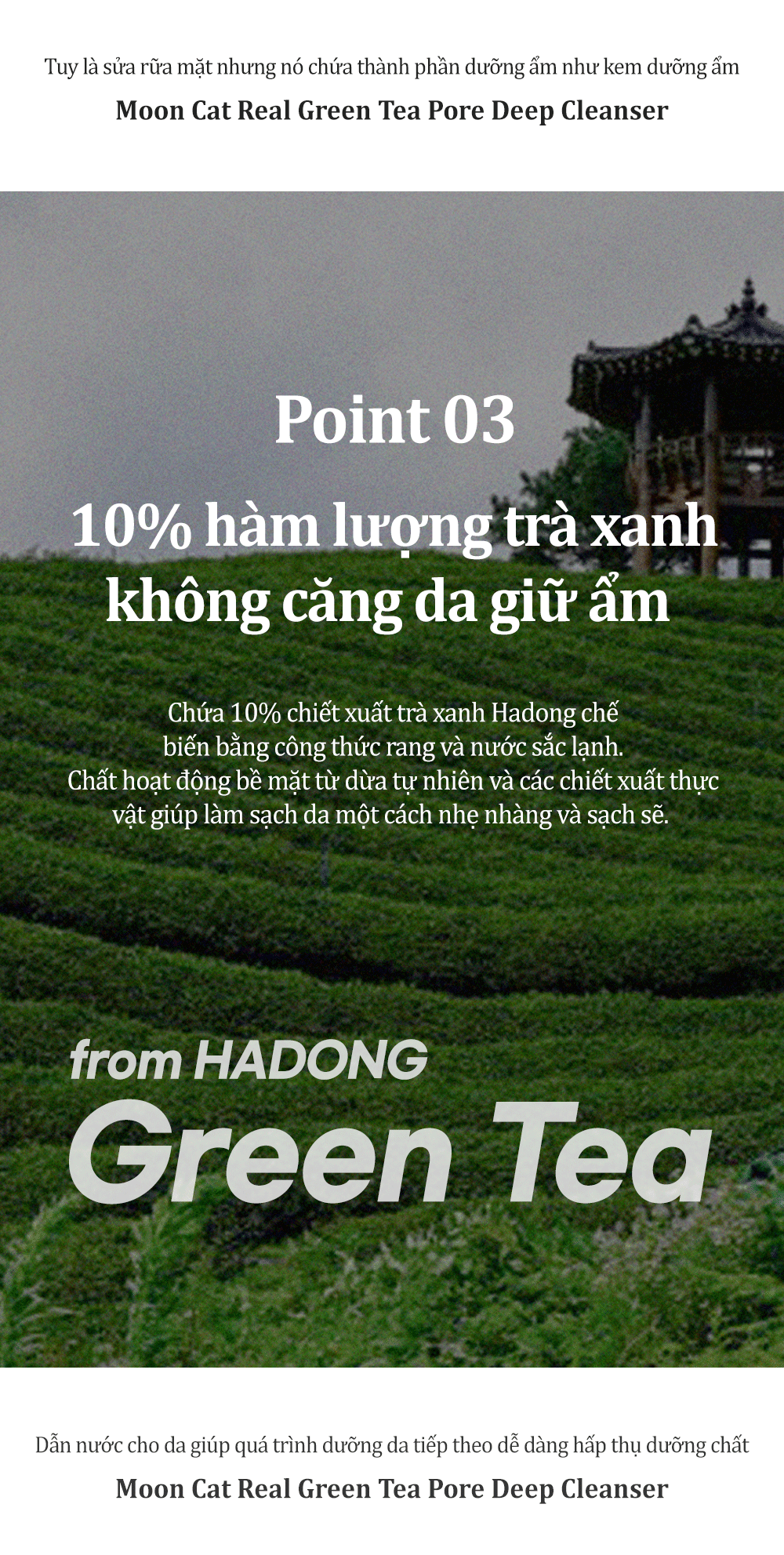 Mô tả Sữa rửa mặt trà xanh MoonCat [AlwaysbePure] 100ml - Sạch sâu, se khít lỗ chân lông, kiểm soát dầu, giảm mụn 100ml+100ml - 8