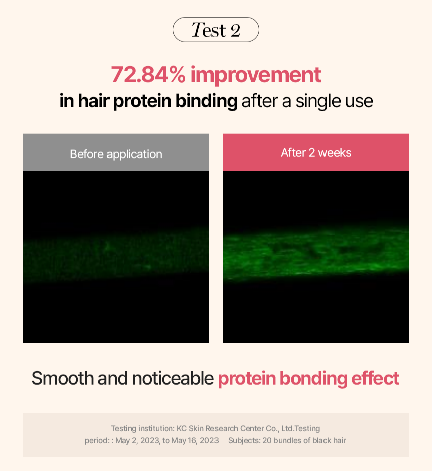 Mô tả Điều Trị Hư Hại protein - 8