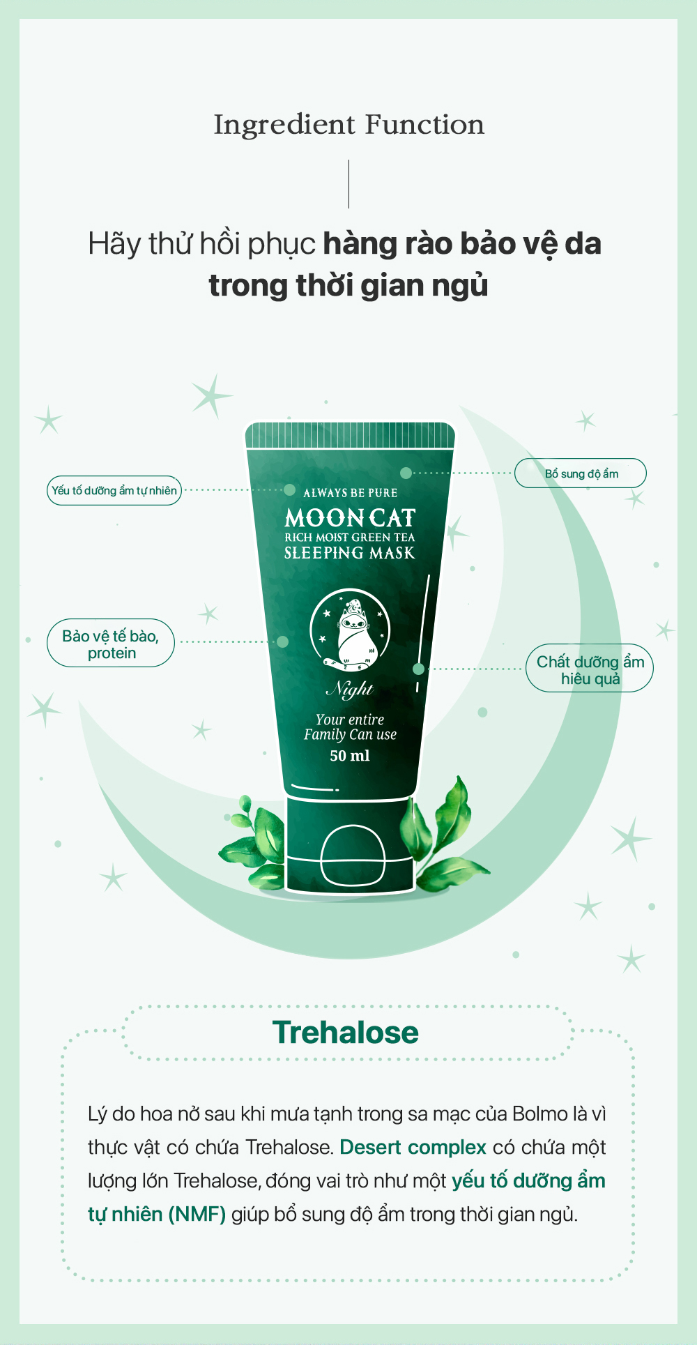 Mô tả Moon Cat Real Green Tea Pore Deep Cleanser 100ml + Moon Cat Rich Moist Green Tea Sleeping Mask 75ml Pore careSET - 7