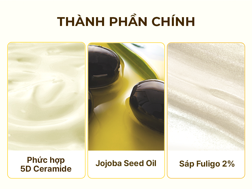 Set Dưỡng Môi Torriden SOLID IN Ceramide