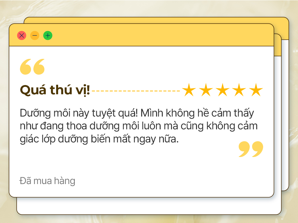 Set Dưỡng Môi Torriden SOLID IN Ceramide