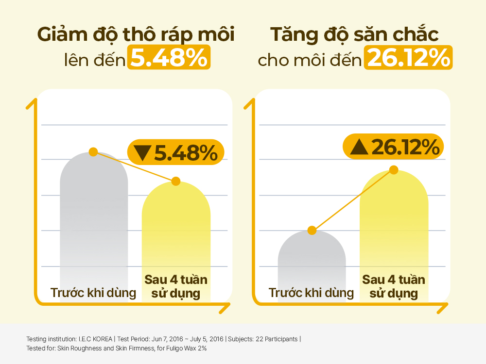 Set Dưỡng Môi Torriden SOLID IN Ceramide