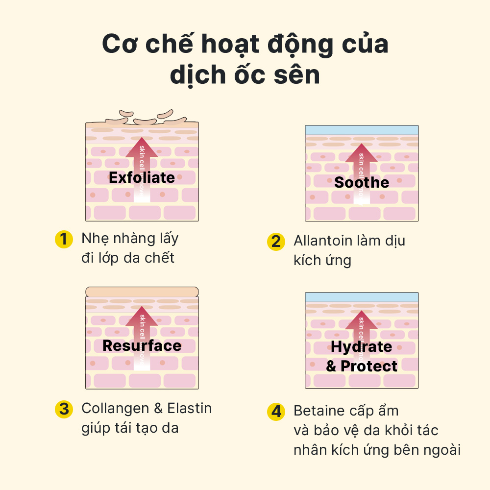 Mô tả Kem dưỡng ẩm cosrx tái tạo phục hồi da chiết xuất 92% dịch ốc sên tất cả trong một 100ml - 9