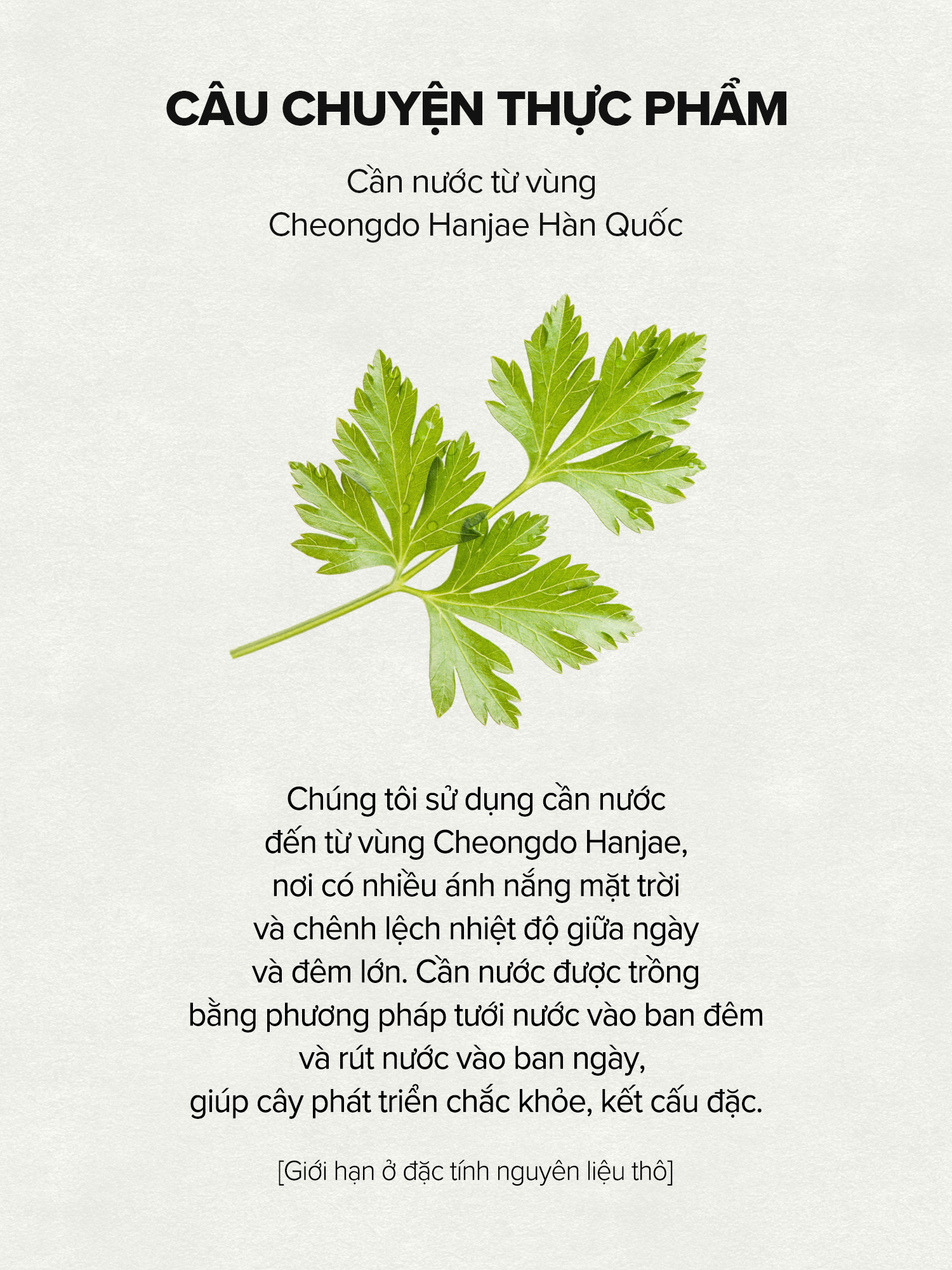 Mô tả Hộp 60 miếng bông cần nước / B5 kiểm soát bã nhờn và chống viêm / Pantothenic Water Parsley Clear Pad / Toner Pad - 4