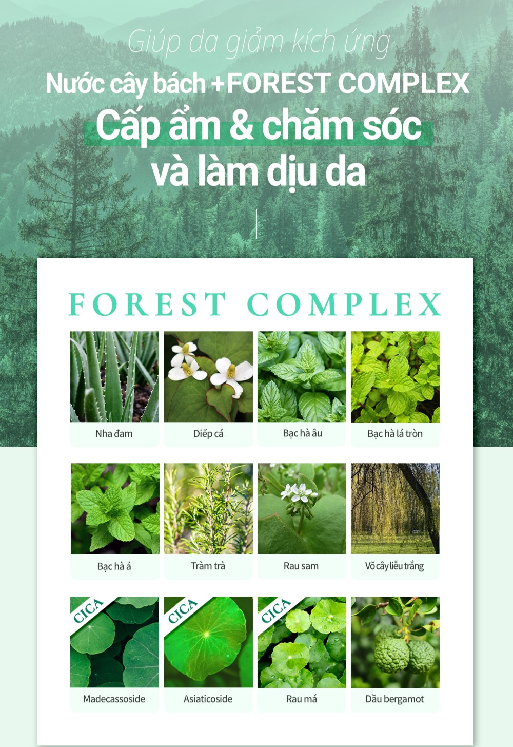 Mô tả Kem dưỡng làm dịu ngừa mụn ALWAYS BE PURE Forest Therapy Ultra cấp ẩm hiệu quả - 2