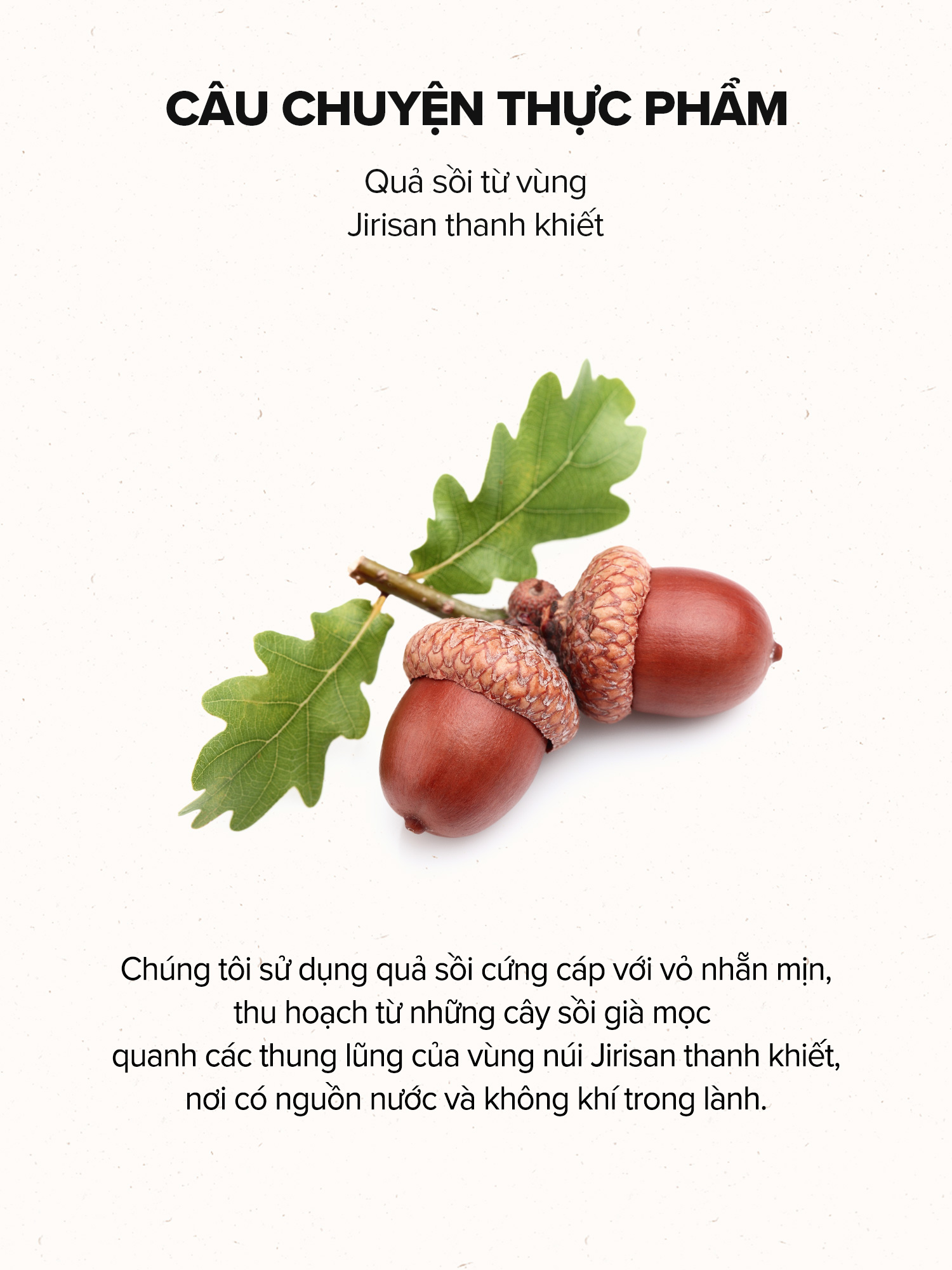 Mô tả Hộp 60 miếng bông quả sồi / Peptide se khít lỗ chân lông và cải thiện độ đàn hồi của da / Acorn Pore Peptide Pad / Toner Pad - 5