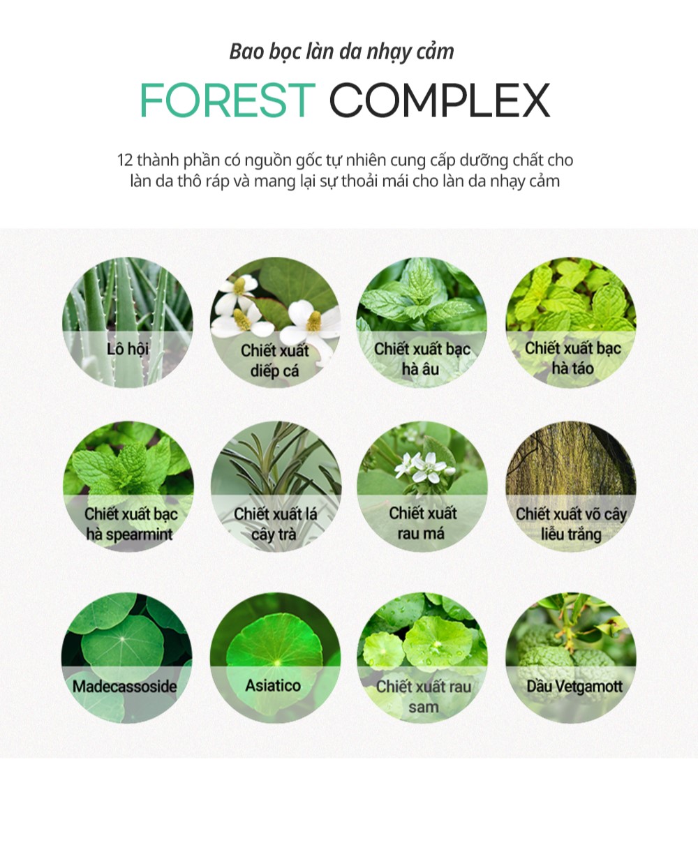 Mô tả Toner làm dịu ngừa mụn ALWAYS BE PURE - Forest Therapy Ultra Calming 150ml (date: 12.12.2026) - 2