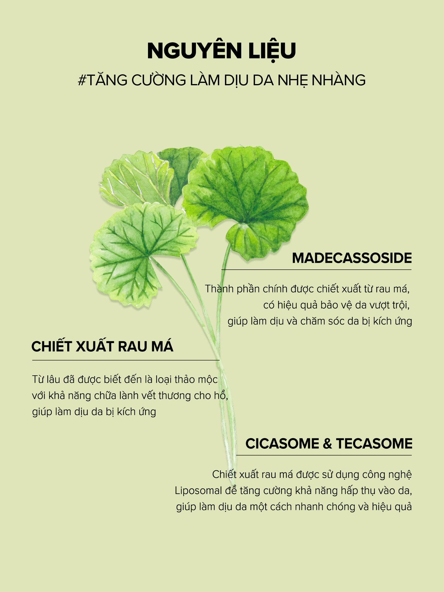 Mặt nạ SKINFOOD Khoai tây 4