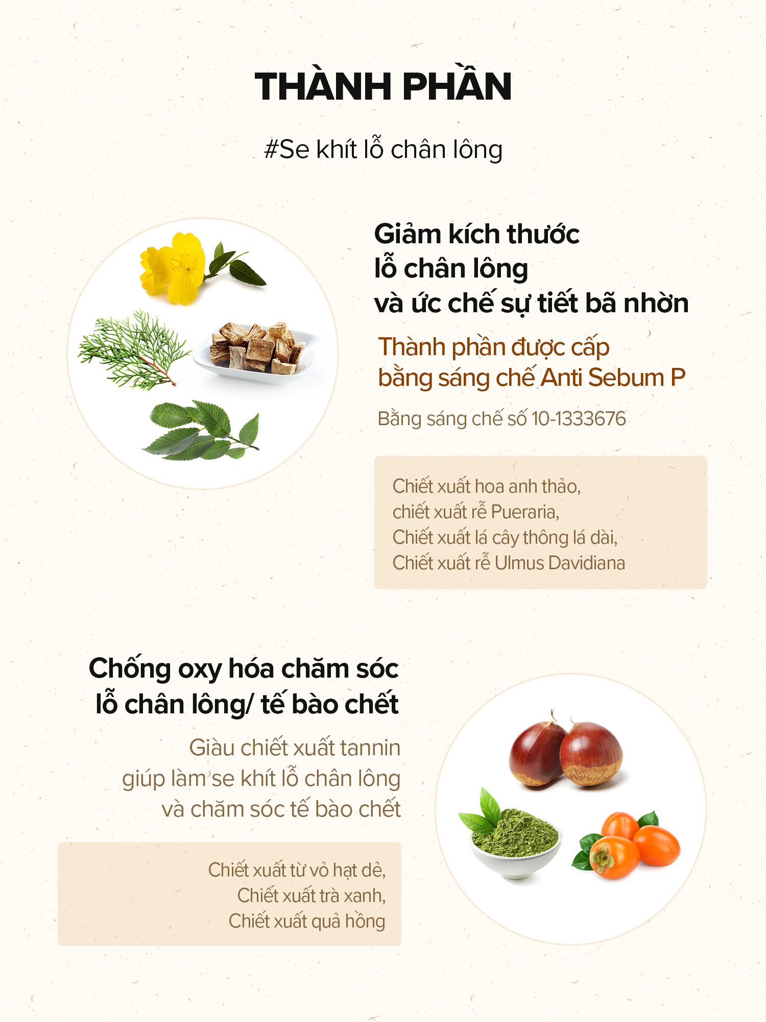 Mô tả Hộp 60 miếng bông quả sồi / Peptide se khít lỗ chân lông và cải thiện độ đàn hồi của da / Acorn Pore Peptide Pad / Toner Pad - 6