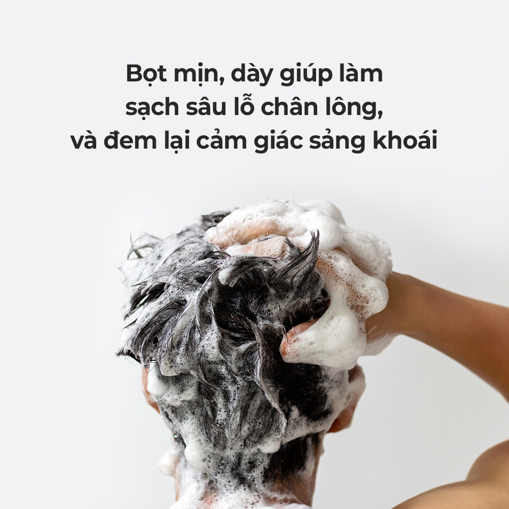 Mô tả Dầu Gội Tẩy 500ml [Thành Phần Menthol Tự Nhiên 99%, 20 loại chiết xuất tự nhiên] - 6