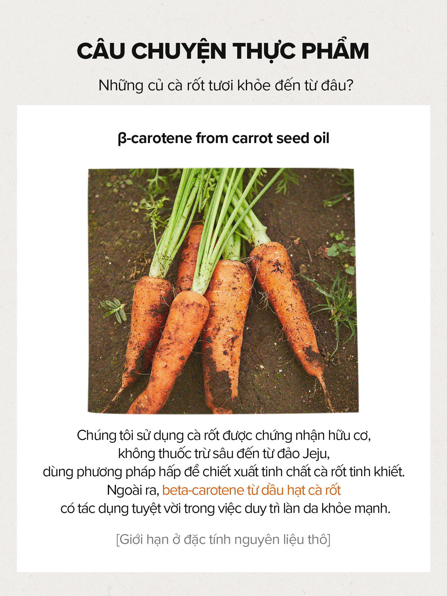 \ Shopfiliate - Chất lượng tuyển chọn, An tâm mua sắm