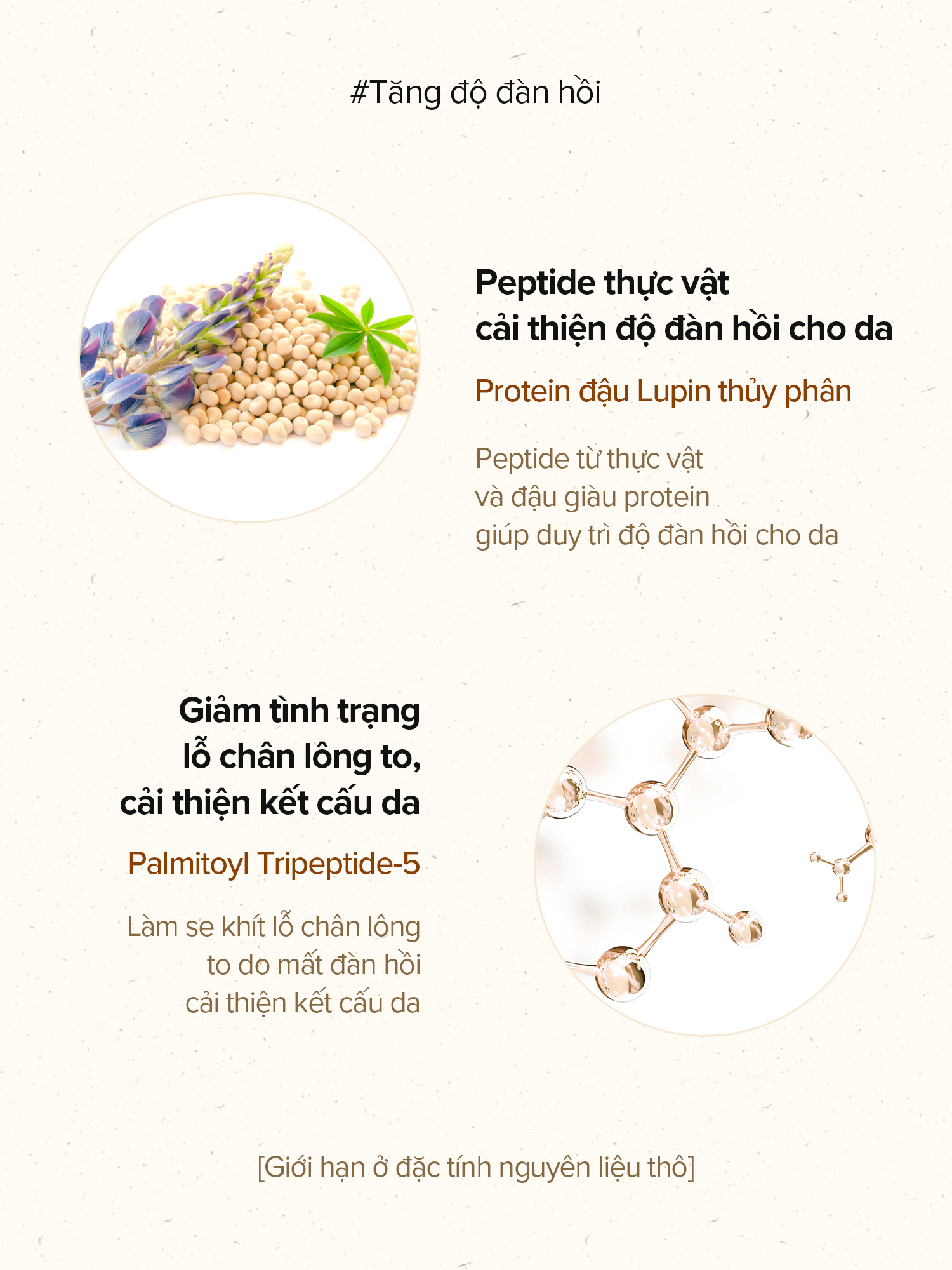 Mô tả Hộp 60 miếng bông quả sồi / Peptide se khít lỗ chân lông và cải thiện độ đàn hồi của da / Acorn Pore Peptide Pad / Toner Pad - 7